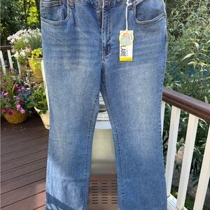 Refuge Denim Low Rise Flare Jeans